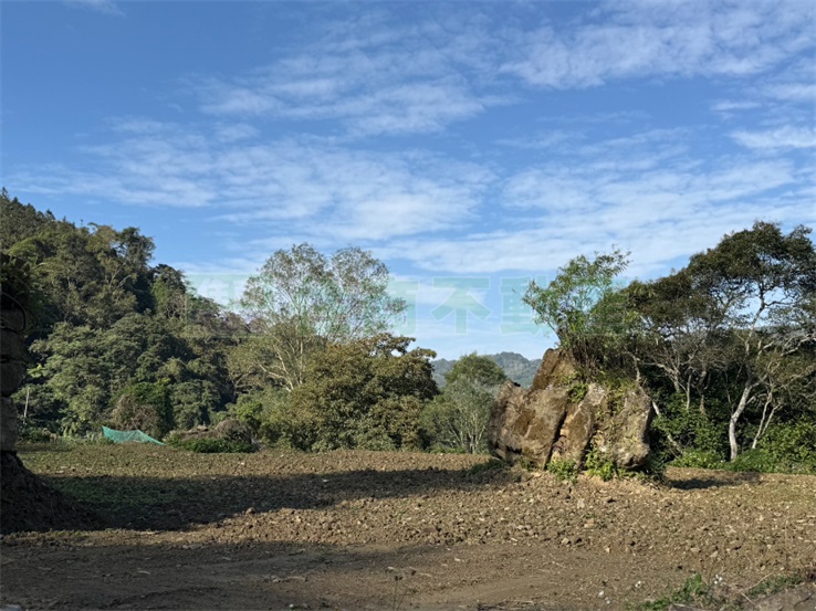 大山背土地公美田 (BS57899)