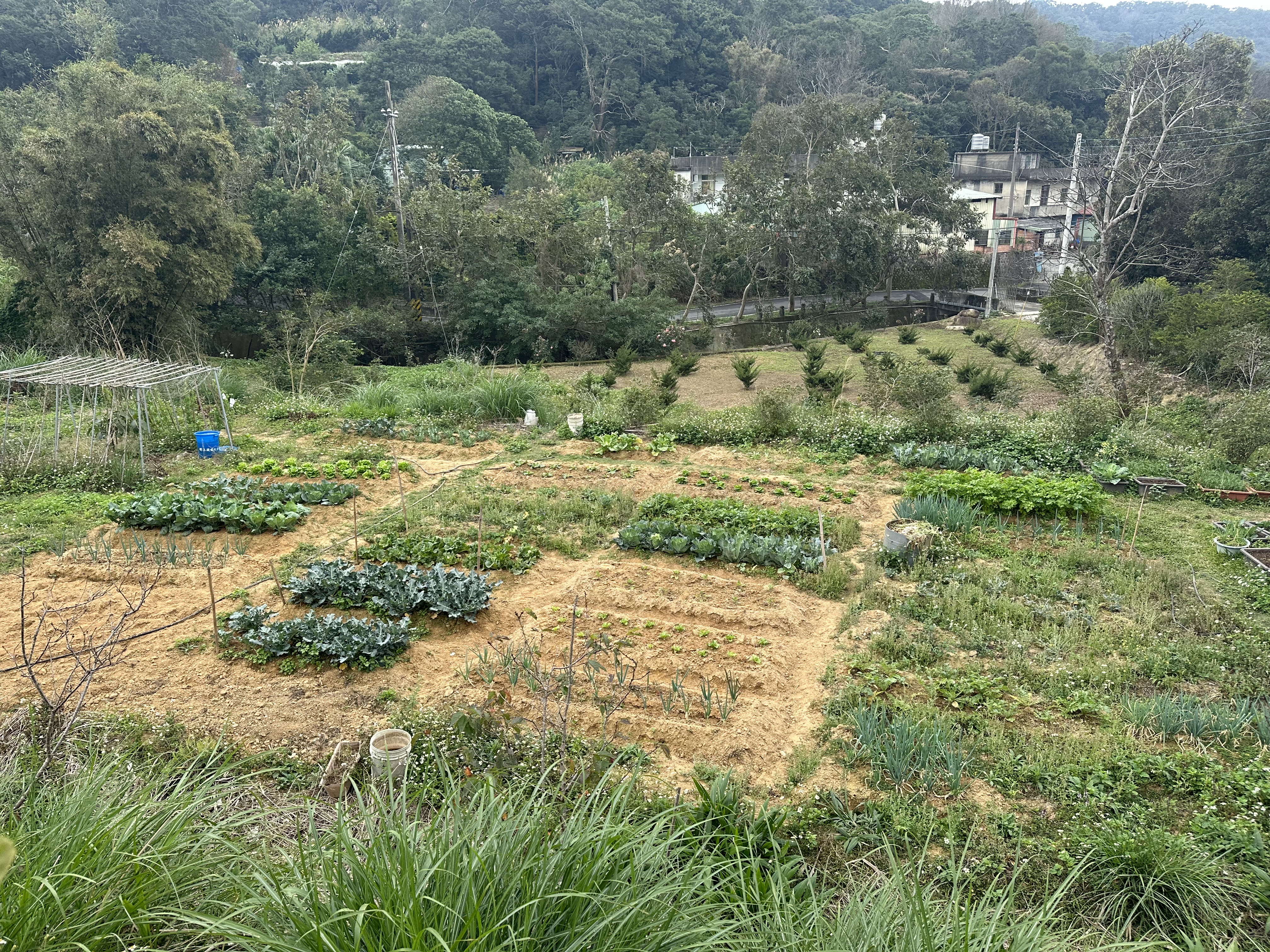🌿 【新埔柿餅休閒地】竹北科技人的後花園｜假日農夫夢想基地 👨‍🌾